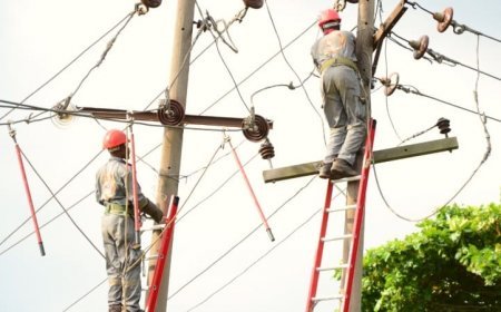 Elektrik Üretim ve Tüketim Verileri