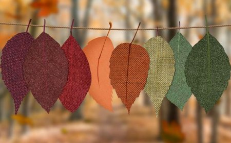 Tekstil Sektörü Nedir?