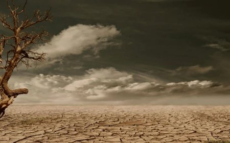 İklim Yasasının Sosyal Zararları