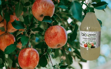 Biozeer Fermente Elma İçeceği Nedir?