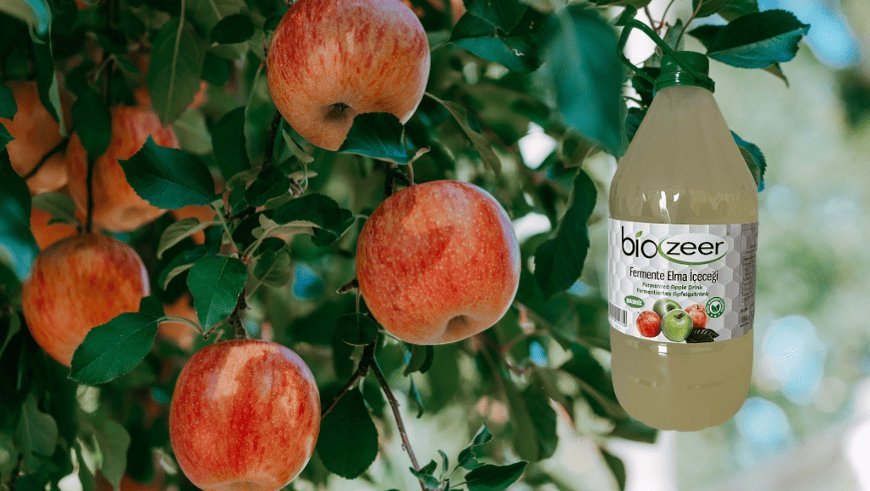 Biozeer Fermente Elma İçeceği Nedir?